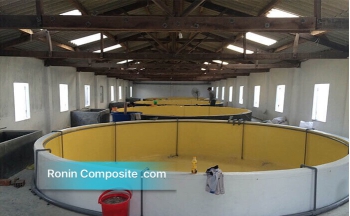 Bọc Composite bể nuôi thuỷ hải sản